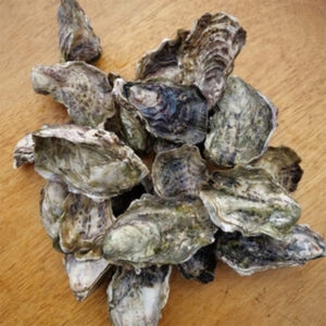whole fresh mixed oysters