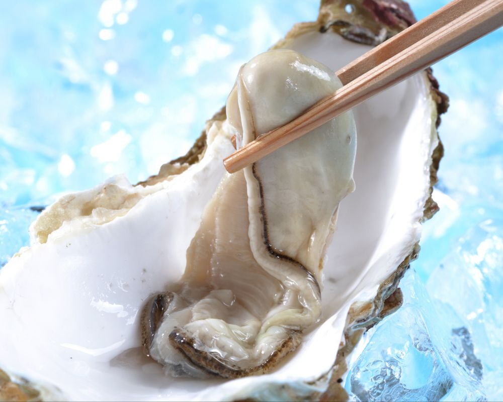 oysters are good for your health