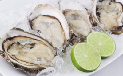 The magic that unfolds when gin and oysters unite