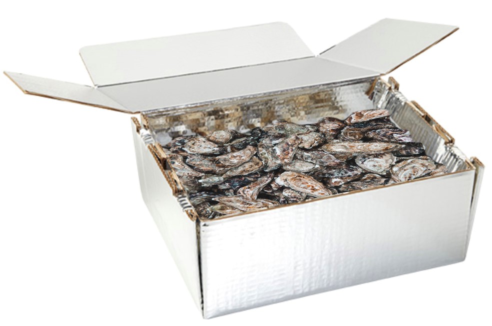 oysters delivered to you