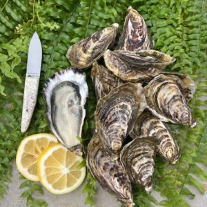 Mahurangi Triploid Oysters (Live)   Price is per lot of 30 oysters (2½ dozen).