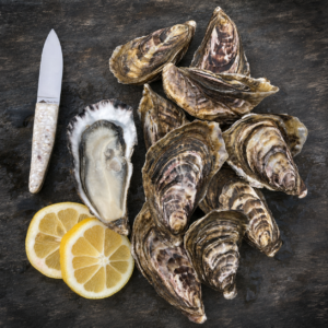 Mahurangi Diploid (Wild Caught) Oysters (Live) Price is per lot of 30 oysters (2½ dozen)